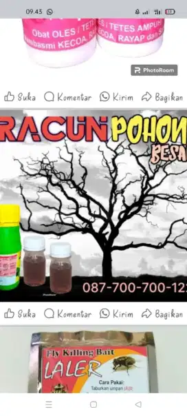 Racun Pohon Besar sebesar apapun..