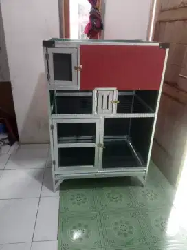 Kdang ternak murai,kacer ijo dll
