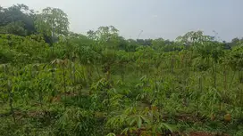 Lahan Strategis Murah Meriah! Lokasi Asri & Sejuk Bisa 12x Cicil
