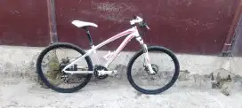 Sepeda gunung MTB 26 Polygon cleo 2.0 alloy