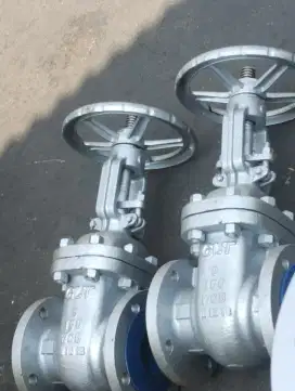 Gate valve 3 Ansi 150 GLT