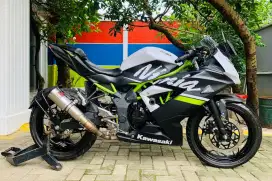 Ninja 250 sl mono 2020