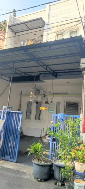 Rumah Sunter Hijau 2lt Dijual Cepat.