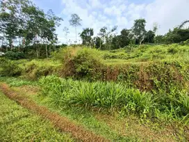 PACET GUBUK MARWATI KALI SENGON