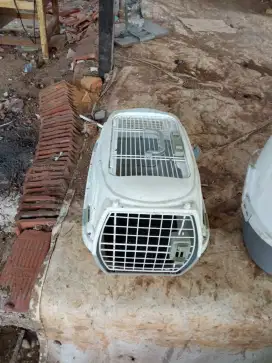 Pet cargo/ kandang kucing