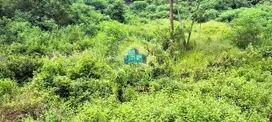 Jual Tanah Murah di Mekarwangi, Cisauk,Tangerang - Banten
