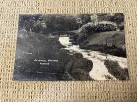Kartu Pos antik “Botanical Garden Penang”