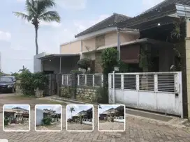 DIJUAL RUMAH MURAH DI JEMBER