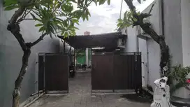KOST / KANTOR / RUKO / KOMERSIL daerah Sanur murah luas