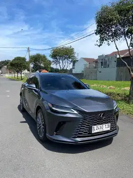 LEXUS RX 350 H LUXURY 2024 ABU ABU