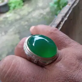 Hijau Garut lok Bojong gede BOGOR