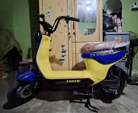 Sepeda listrik x track exotic