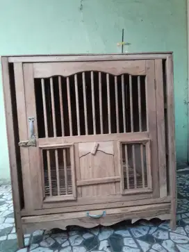 Kandang macan merpati full jati