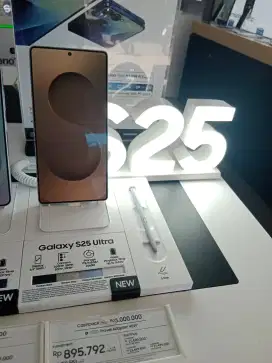 Samsung S 25 Ultra