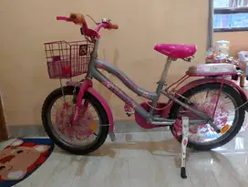 Sepeda anak Family 18 inc