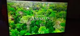 Tv led sharp 60 android digital normal