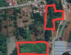 Jual tanah/kebon lokasi cianjur (jual cepat)