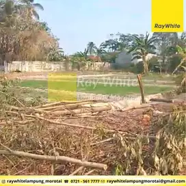 Dijual Tanah di Natar, Lampung Selatan (kode: AL 3334)