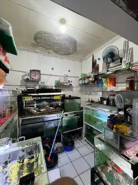 Jual Semua Barang Ruko Ikan Hias