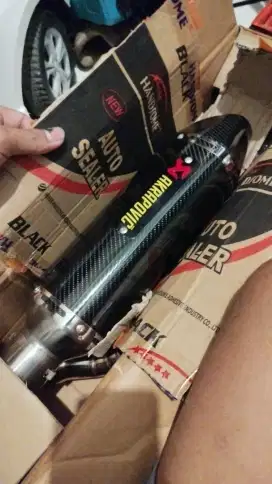 Akrapovic BEAT bass adem