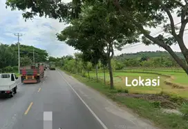 Dijual Tanah Industri Tepi Jalan Raya Rembang
