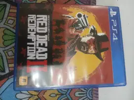 BD PS 4 RDR 2 reg 3