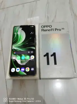 Oppo reno 11 pro 12/512 GB