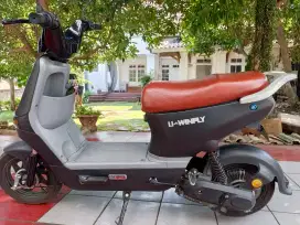 SEPEDA LISTRIK U-WINFLY D8S