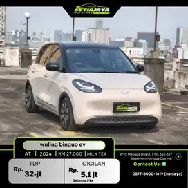 WULING BINGO EV 2024