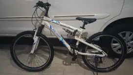 Sepeda Polygon Rapid 24 MTB Junior 24