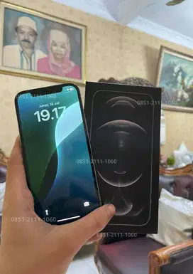IPHONE 12 PRO 128 ( BEACUKAI )