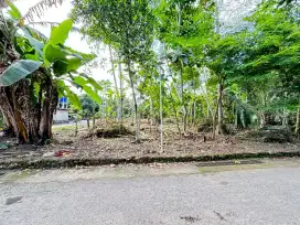 Tanah Pekarangan Gamol Balecatur Sleman Utara Jl Wates