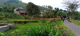 Cocok Bangun Villa Pribadi, Tanah Cijeruk Murah, Udara Sejuk & Nyaman