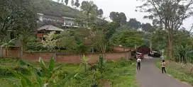 Cocok Bangun Villa, Tanah Murah Bogor Di Cijeruk; 1 Jt-an/m