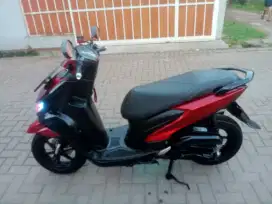 Freego 125 Thun 2020 kodya
