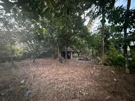 Tanah Kosong cocok untuk kost kost an