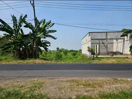 Tanah pinggir jl raya dekat pasar balong panggang