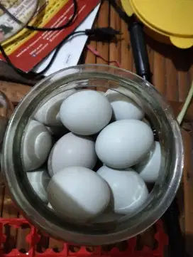 Telur Asin dan Telur Ayam Bandara Dhoho