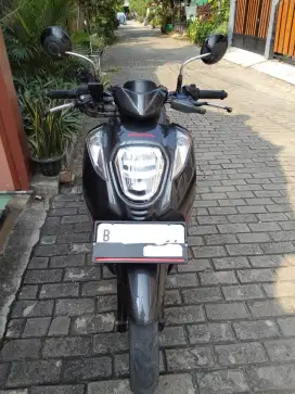 Honda Genio 2019 Gress