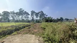 Tanah premium asrikaton pakis malang