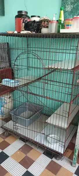 Kandang 3 tingkat