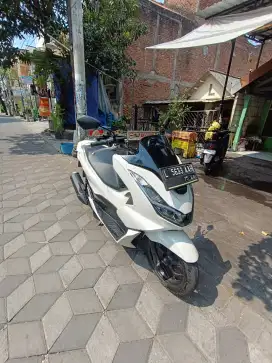 Pcx 160 2022 apik