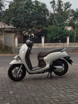 HONDA NEW SCOOPY PRESTIGE 2023 CASH MURAH DAN BISA KREDIT