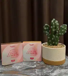 Barendbliss cushion