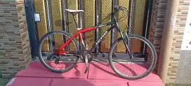 Polygon Tiger 200 size 26
