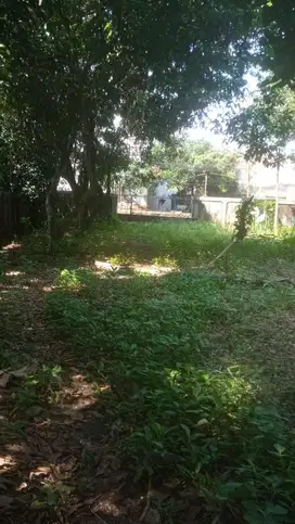 DISEWAKAN DAN DI JUAL TANAH KOSONG  COCOK USAHA PADEL