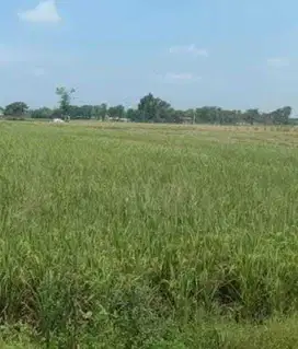 Tanah CitraLand Puncak Golf Double Way - Bisa KPT