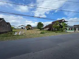 Tanah murah sleman dekat AAU Berbah tepi aspal lebar