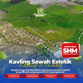 Dijual tanah sawah murah legalitas SHM estetik dan view yang indah