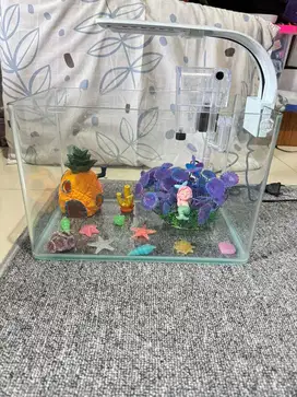Aquarium lepet bending / melengkung all in